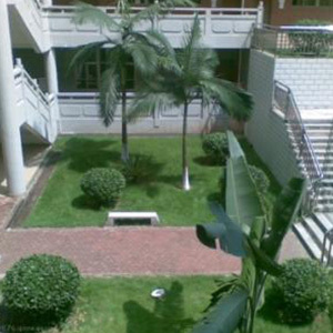 技能型人才培养双赛道 海口汽车维修学校与软件开发教育